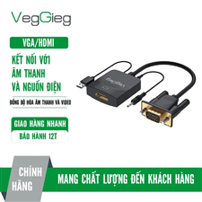 Cáp chuyển VGA sang HDMI VegGieg VZ618
