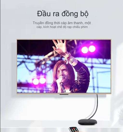 Cáp chuyển VGA sang HDMI Có audio Veggieg VZ206