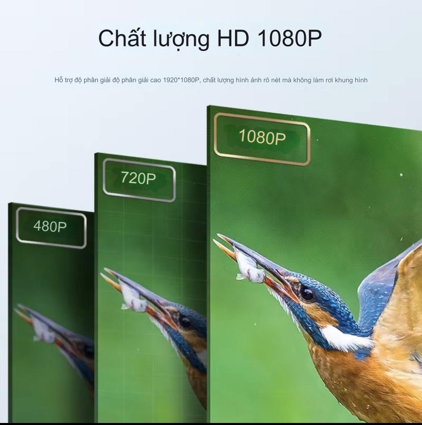 Cáp chuyển đổi mini Display to HDMI 4K VEGGIEG model VZ616