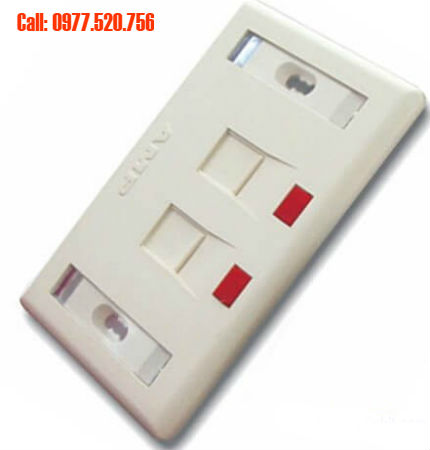 Mặt wall plate AMP hình chữ nhật 2 cổng có nắp